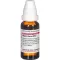 VIPERA BERUS D 12 Lahjendus, 20 ml