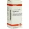 CIMICIFUGA D10, 80 tk