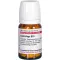 CIMICIFUGA D10, 80 tk