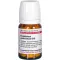 Eupatorium Perf D10, 80 tk