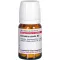GRINDELIA ROBUSTA D 2 tabletid, 80 tk