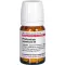 PHELLANDRIUM AQUATICUM D 4 tabletid, 80 tk