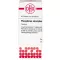 PHOSPHORUS AMORPHUS D 8 tabletid, 80 tk