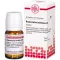 Ranunculus Bulb D 3, 80 tk