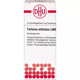 Lm tartusse stiiibat XII, 5 g