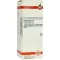 HYPERICUM D 6 lahjendus, 50 ml