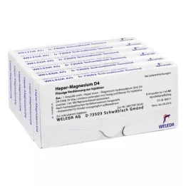 HEPAR MAGNESIUM D 4 ampullid, 48X1 ml
