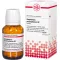 Gnaphalium Polyc D 2, 200 tk