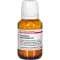 Gnaphalium Polyc D 2, 200 tk