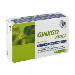 GINKGO 100 mg kapslid+B1+C+E, 48 tk