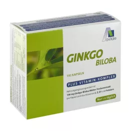 GINKGO 100 mg kapslid+B1+C+E, 192 tk