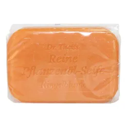 Dr.theiss saialilleseep (100 g)
