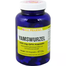 YAMSWURZEL 500 mg GPH kapslid, 120 tk