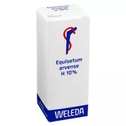 EQUISETUM ARVENSE H 10% õline hõõrumine, 50 ml