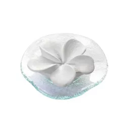DUFTSTEIN Frangipani glastelleri läbipaistev, 1 tk