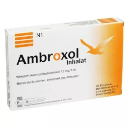 AMBROXOL Inhalatsioonilahus nebulisaatorile, 20X2 ml