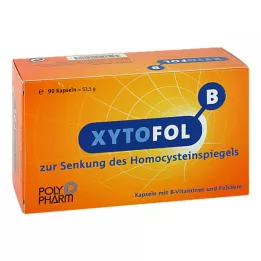 XYTO Fol B kapslid, 90 tk