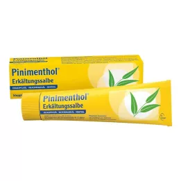 PINIMENTHOL Külma salv Eucal./mänd./Ment., 100 g