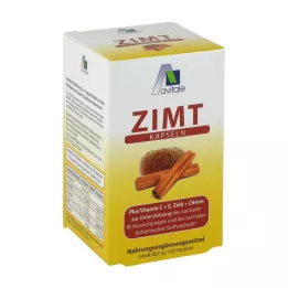 ZIMT KAPSELN 500 mg+vitamiin C+E, 120 tk