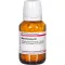 MyrtillCactus D 2, 200 tk