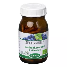 OPC TRAUBENKERN &amp; C-vitamiini kapslid, 90 tk