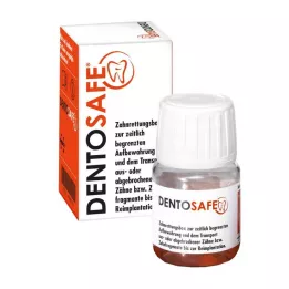 DENTOSAFE Hammaste päästekarp, 1 tk
