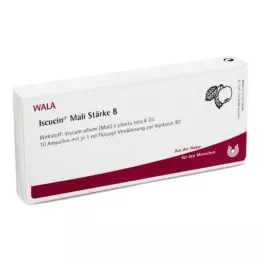 ISCUCIN mali Tugevus B Ampullid, 10X1 ml