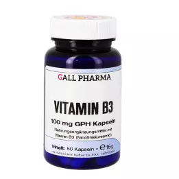 VITAMIN B3 100 mg GPH kapslid, 60 tk