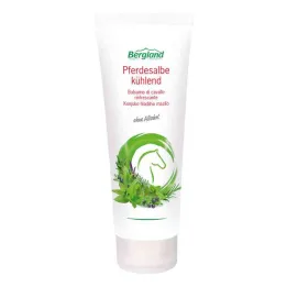 Jahutav hobusesalv (100 ml)