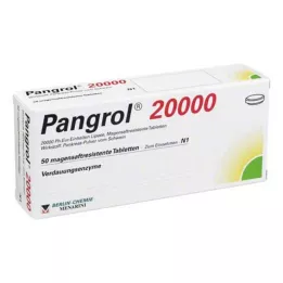 PANGROL 20 000 gastroresistentset tabletti, 50 tk