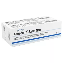AKNEDERM Salv Uus, 60 g