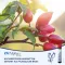 CH ALPHA Pluss joogiampullid, 30 tk