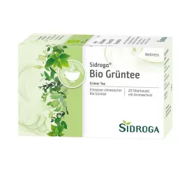 SIDROGA Wellness rohelise tee filtrikotid, 20X1,7 g