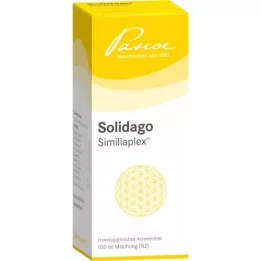 SOLIDAGO SIMILIAPLEX langeb, 100 ml