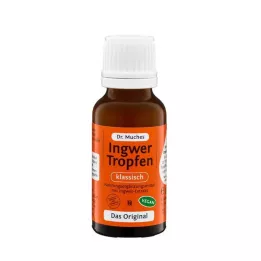 INGWERTROPFEN Dr.Muches, 20 ml