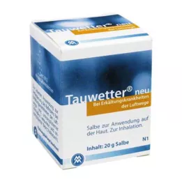 TAUWETTER SALBE Uus, 20g