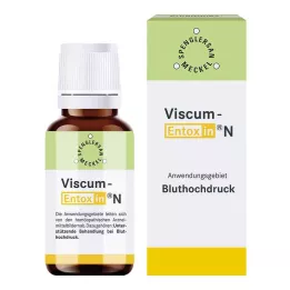 VISCUM ENTOXIN n tilgad, 20 ml