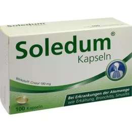 SOLEDUM 100 mg mao -resistentseid kapsleid, 100 tk