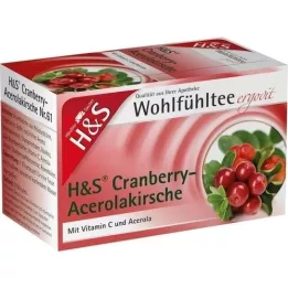 H&amp;S Cranberry Acerolakirsche filtrikotid, 20x2,8 g