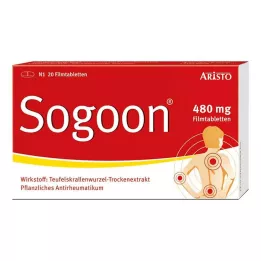 SOGOON 480 mg õhukese polümeerikattega tabletid, 20 tk