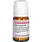 ACTAEA SPIC D 4, 80 tk