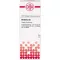 BERBERIS D 5 Lahjendus, 20 ml