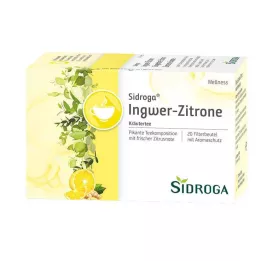SIDROGA Wellnessi ingveri-sidruni tee filtrikotid, 20X2,0 g