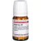 Hypericum D 8, 80 tk