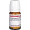 Juniperus Comm d 4, 80 tk