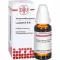 LYCOPODIUM D 60 Lahjendus, 20 ml