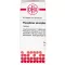 PHOSPHORUS AMORPHUS D 10 tabletid, 80 tk