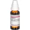 ZINGIBER Ema tinktuura, 20 ml