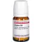 ZINGIBER D 30 tabletid, 80 tk