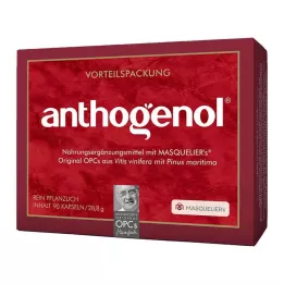 OPC ORIGINAL Masqueliers Anthogenol kapslid, 90 tk